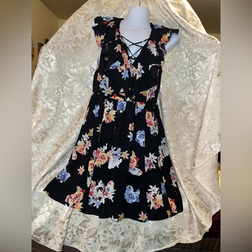 Express Dress Size 4